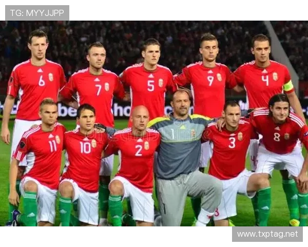 匈牙利足球队热身赛表现稳健，持续吸引关注与期待