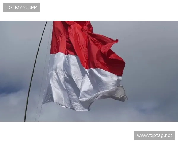 印尼队红白狂欢